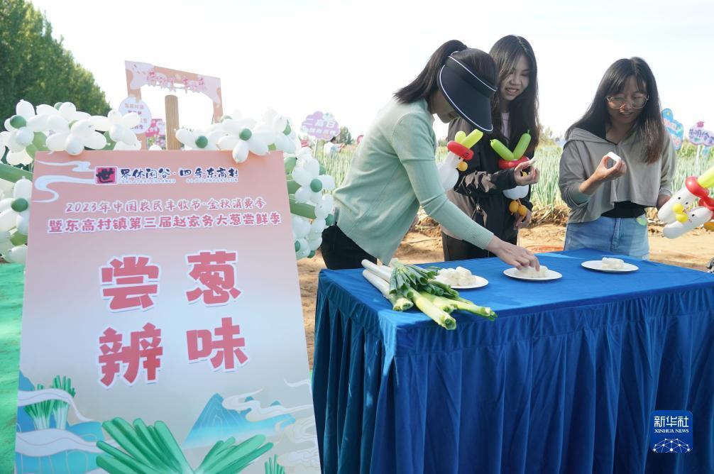 电子游戏免费送金网址
